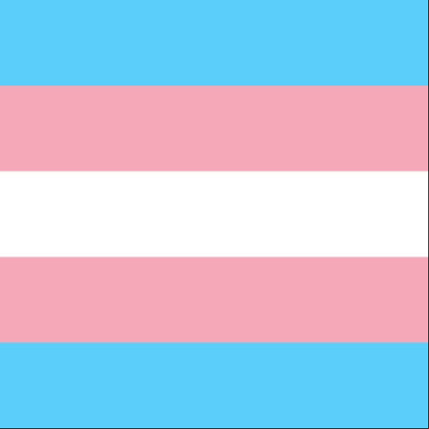 Bandeira do Orgulho Transgênero Bandeira do Orgulho Transgênero