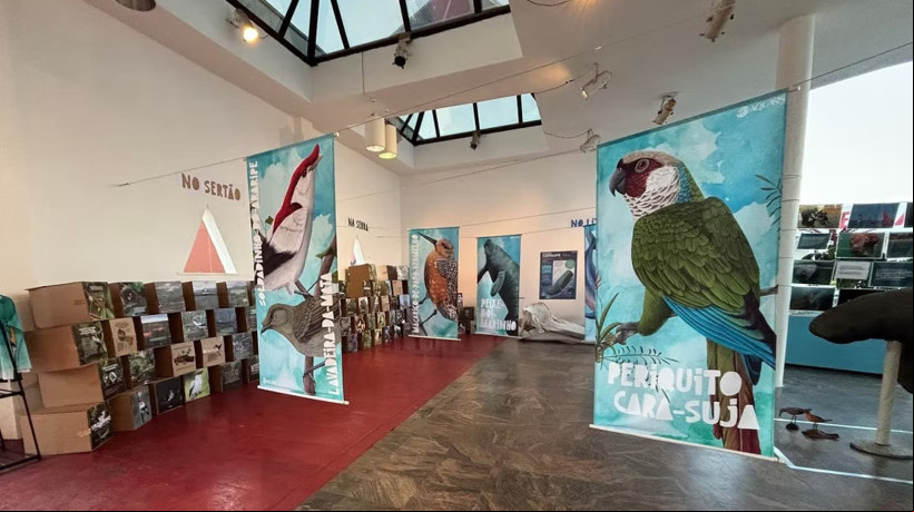 Exposição Aquasis 30 anos