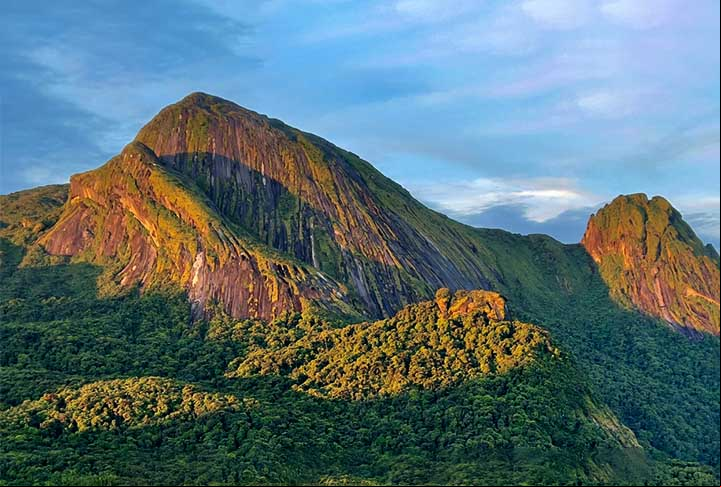 Os pesquisadores aram 12 dias acampados no topo de uma montanha vizinha ao Pico do Imeri, a quase 1.900 metros de altitude. Eles coletaram a maior diversidade possível de plantas e animais em uma das regiões mais preservadas e menos conhecidas da Amazônia.