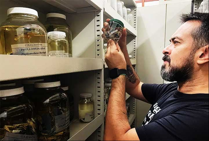O órgão pertence ao Instituto Chico Mendes de Conservação da Biodiversidade (ICMBio) e ressalta que dentro da ordem Anura estão várias famílias de sapos, rãs e pererecas cujas espécies estão em todos os continentes, com exceção da Antártica.
